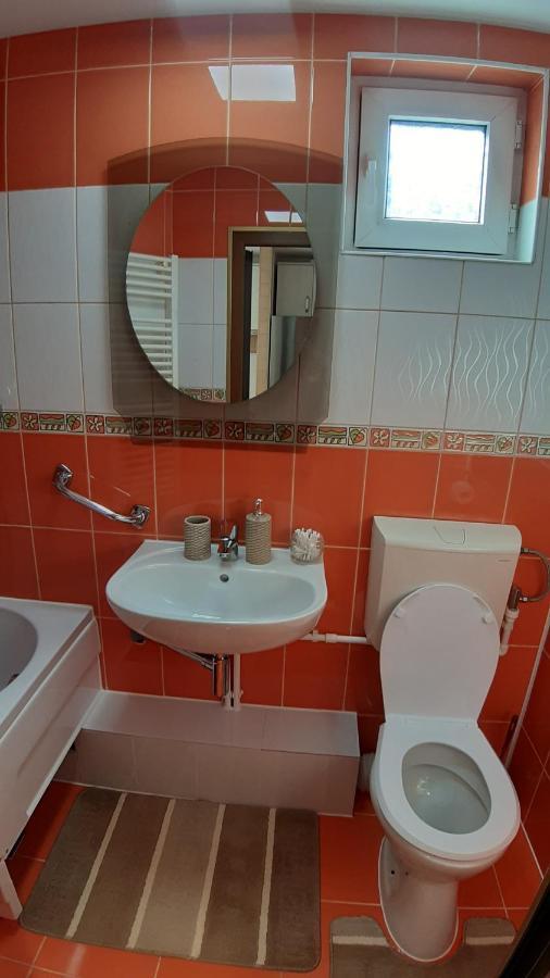 Casa Ultracentral Suceava 빌라 외부 사진